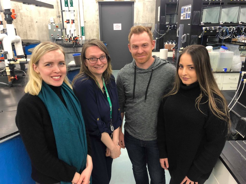 2018-2019 Lab Group. From left to right: Jessica Leger, Dr. Simmons, Jordan Anderson, Nancy Tannouri.